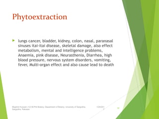 Phytoextraction
 lungs cancer, bladder, kidney, colon, nasal, paranasal
sinuses itai-itai disease, skeletal damage, also effect
metabolism, mental and intelligence problems,
Anaemia, pink disease, Neurasthenia, Diarrhea, high
blood pressure, nervous system disorders, vomiting,
fever, Multi-organ effect and also cause lead to death
1/24/201
7
Mujahid Hussain (12) M.Phil Botany, Department of Botany, Unversity of Sargodha,
Sargodha, Pakistan
22
 
