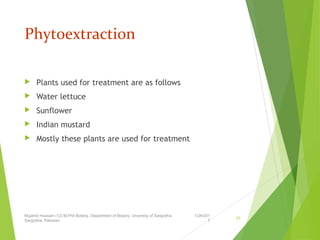 Phytoextraction
 Plants used for treatment are as follows
 Water lettuce
 Sunflower
 Indian mustard
 Mostly these plants are used for treatment
1/24/201
7
Mujahid Hussain (12) M.Phil Botany, Department of Botany, Unversity of Sargodha,
Sargodha, Pakistan
23
 