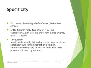 Specificity
 For Arsenic, lead using the Sunflower (Helianthus
annuus) 
 or the Chinese Brake fern (Pteris vittata) a
hyperaccumulator. Chinese Brake fern stores arsenic,
lead in its leaves.
 Salt-tolerant
(moderately halophytic) barley and/or sugar beets are
commonly used for the extraction of sodium
chloride (common salt) to reclaim fields that were
previously flooded by sea water.
1/24/201
7
Mujahid Hussain (12) M.Phil Botany, Department of Botany, Unversity of Sargodha,
Sargodha, Pakistan
25
 