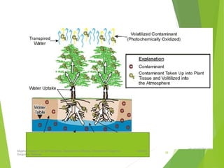1/24/201
7
Mujahid Hussain (12) M.Phil Botany, Department of Botany, Unversity of Sargodha,
Sargodha, Pakistan
29
 