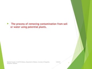  The process of removing contamination from soil
or water using potential plants.
1/24/201
7
Mujahid Hussain (12) M.Phil Botany, Department of Botany, Unversity of Sargodha,
Sargodha, Pakistan
3
 