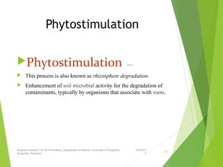 Phytostimulation
Phytostimulation  — 
 This process is also known as rhizosphere degradation.
 Enhancement of soil microbial activity for the degradation of 
contaminants, typically by organisms that associate with roots. 
1/24/201
7
Mujahid Hussain (12) M.Phil Botany, Department of Botany, Unversity of Sargodha,
Sargodha, Pakistan
30
 