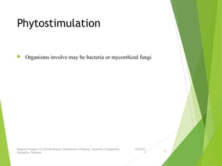 Phytostimulation
 Organisms involve may be bacteria or mycorrhizal fungi
1/24/201
7
Mujahid Hussain (12) M.Phil Botany, Department of Botany, Unversity of Sargodha,
Sargodha, Pakistan
31
 
