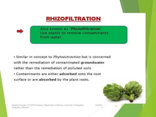 1/24/201
7
Mujahid Hussain (12) M.Phil Botany, Department of Botany, Unversity of Sargodha,
Sargodha, Pakistan
33
 