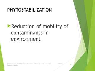 PHYTOSTABILIZATION
Reduction of mobility of
contaminants in
environment
1/24/201
7
Mujahid Hussain (12) M.Phil Botany, Department of Botany, Unversity of Sargodha,
Sargodha, Pakistan
36
 