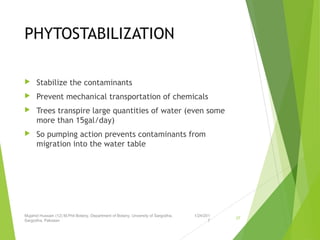 PHYTOSTABILIZATION
 Stabilize the contaminants
 Prevent mechanical transportation of chemicals
 Trees transpire large quantities of water (even some
more than 15gal/day)
 So pumping action prevents contaminants from
migration into the water table
1/24/201
7
Mujahid Hussain (12) M.Phil Botany, Department of Botany, Unversity of Sargodha,
Sargodha, Pakistan
37
 