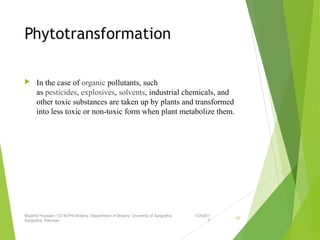 Phytotransformation
 In the case of organic pollutants, such
as pesticides, explosives, solvents, industrial chemicals, and
other toxic substances are taken up by plants and transformed
into less toxic or non-toxic form when plant metabolize them.
1/24/201
7
Mujahid Hussain (12) M.Phil Botany, Department of Botany, Unversity of Sargodha,
Sargodha, Pakistan
42
 