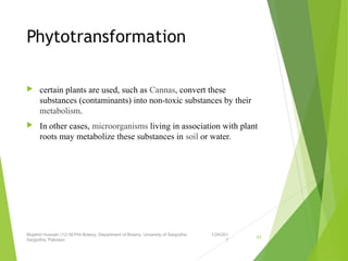 Phytotransformation
 certain plants are used, such as Cannas, convert these
substances (contaminants) into non-toxic substances by their
metabolism.
 In other cases, microorganisms living in association with plant
roots may metabolize these substances in soil or water.
1/24/201
7
Mujahid Hussain (12) M.Phil Botany, Department of Botany, Unversity of Sargodha,
Sargodha, Pakistan
43
 