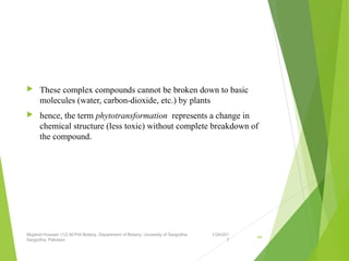  These complex compounds cannot be broken down to basic
molecules (water, carbon-dioxide, etc.) by plants
 hence, the term phytotransformation represents a change in
chemical structure (less toxic) without complete breakdown of
the compound.
1/24/201
7
Mujahid Hussain (12) M.Phil Botany, Department of Botany, Unversity of Sargodha,
Sargodha, Pakistan
44
 