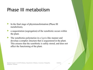 Phase III metabolism
 In the final stage of phytotransformation (Phase III
metabolism),
 a sequestration (segregation) of the xenobiotic occurs within
the plant.
 The xenobiotics polymerize in a lignin-like manner and
develop a complex structure that is sequestered in the plant.
This ensures that the xenobiotic is safely stored, and does not
affect the functioning of the plant.
1/24/201
7
Mujahid Hussain (12) M.Phil Botany, Department of Botany, Unversity of Sargodha,
Sargodha, Pakistan
47
 