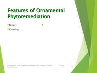 Features of OrnamentalFeatures of Ornamental
PhytoremediationPhytoremediation
Beauty
Cleaning

1/24/201
7
Mujahid Hussain (12) M.Phil Botany, Department of Botany, Unversity of Sargodha,
Sargodha, Pakistan
54
 
