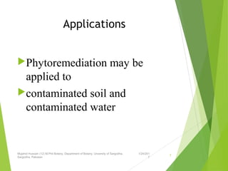 Applications
Phytoremediation may be 
applied to 
contaminated soil and 
contaminated water
1/24/201
7
Mujahid Hussain (12) M.Phil Botany, Department of Botany, Unversity of Sargodha,
Sargodha, Pakistan
7
 