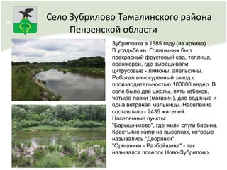 Зубриловка в 1885 году (из архива)
В усадьбе кн. Голицыных был
прекрасный фруктовый сад, теплица,
оранжереи, где выращивали
цитрусовые - лимоны, апельсины.
Работал винокуренный завод с
производительностью 100000 ведер. В
селе было две школы, пять кабаков,
четыре лавки (магазин), две водяные и
одна ветряная мельницы. Население
составляло - 2435 жителей.
Населенные пункты:
"Барышниково", где жили слуги барина.
Крестьяне жили на выселках, которые
назывались "Дворянки".
"Орешники - Разбойщина" - так
назывался поселок Ново-Зубрилово.
Село Зубрилово Тамалинского района
Пензенской области
 
