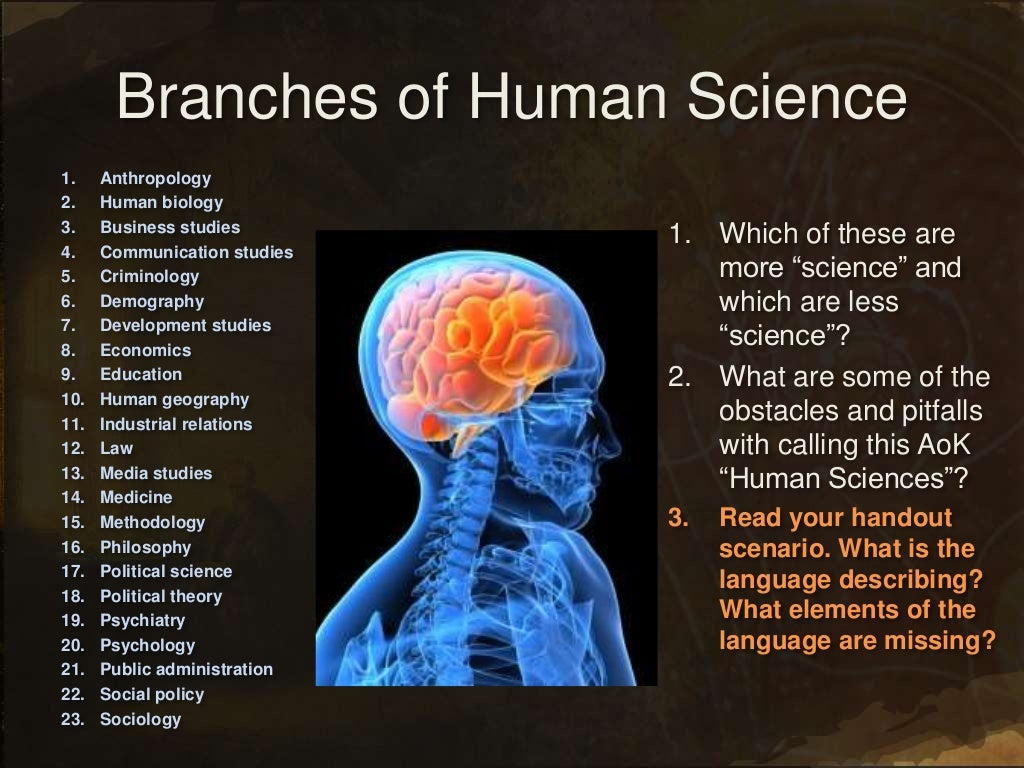 visual representation and human sciences