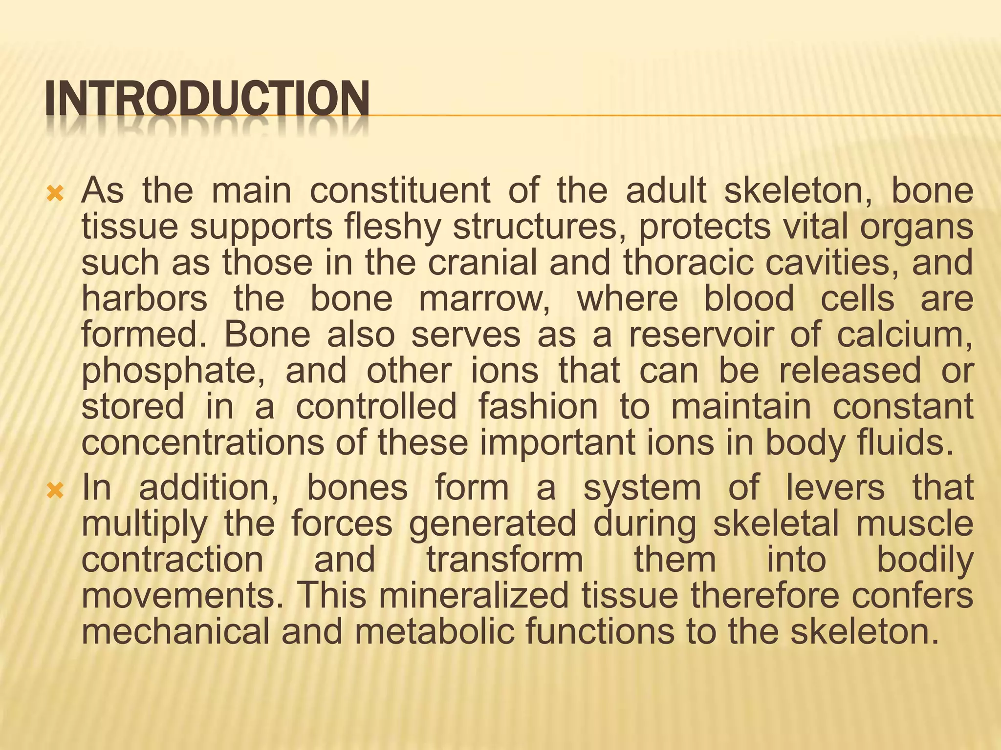 Histology of Bone | PPTX