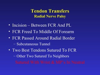 Fcr Tendon Incision 12. tendon transfers | PPT