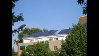 Best Energy Power - Afternoon Workshop