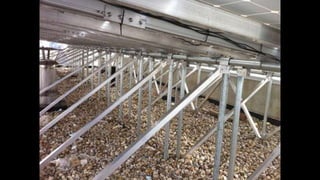 Best Energy Power - Afternoon Workshop