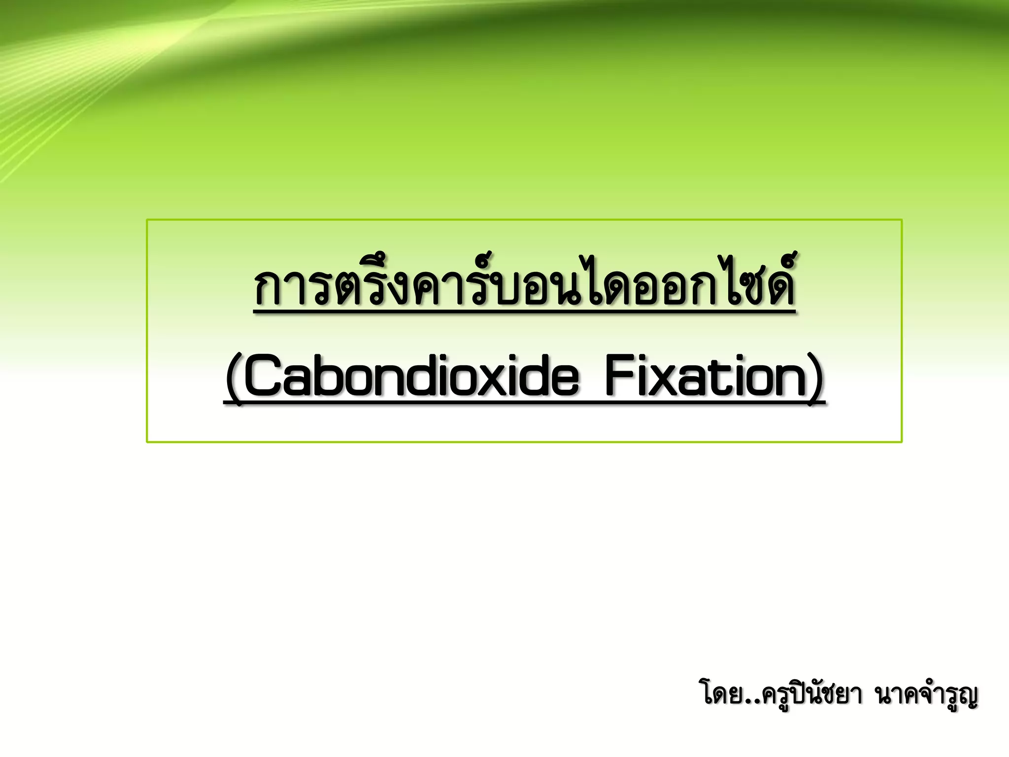 การตรึงคาร์บอนไดออกไซด์
(Cabondioxide Fixation)
โดย..ครูปินัชยา นาคจารูญ
 