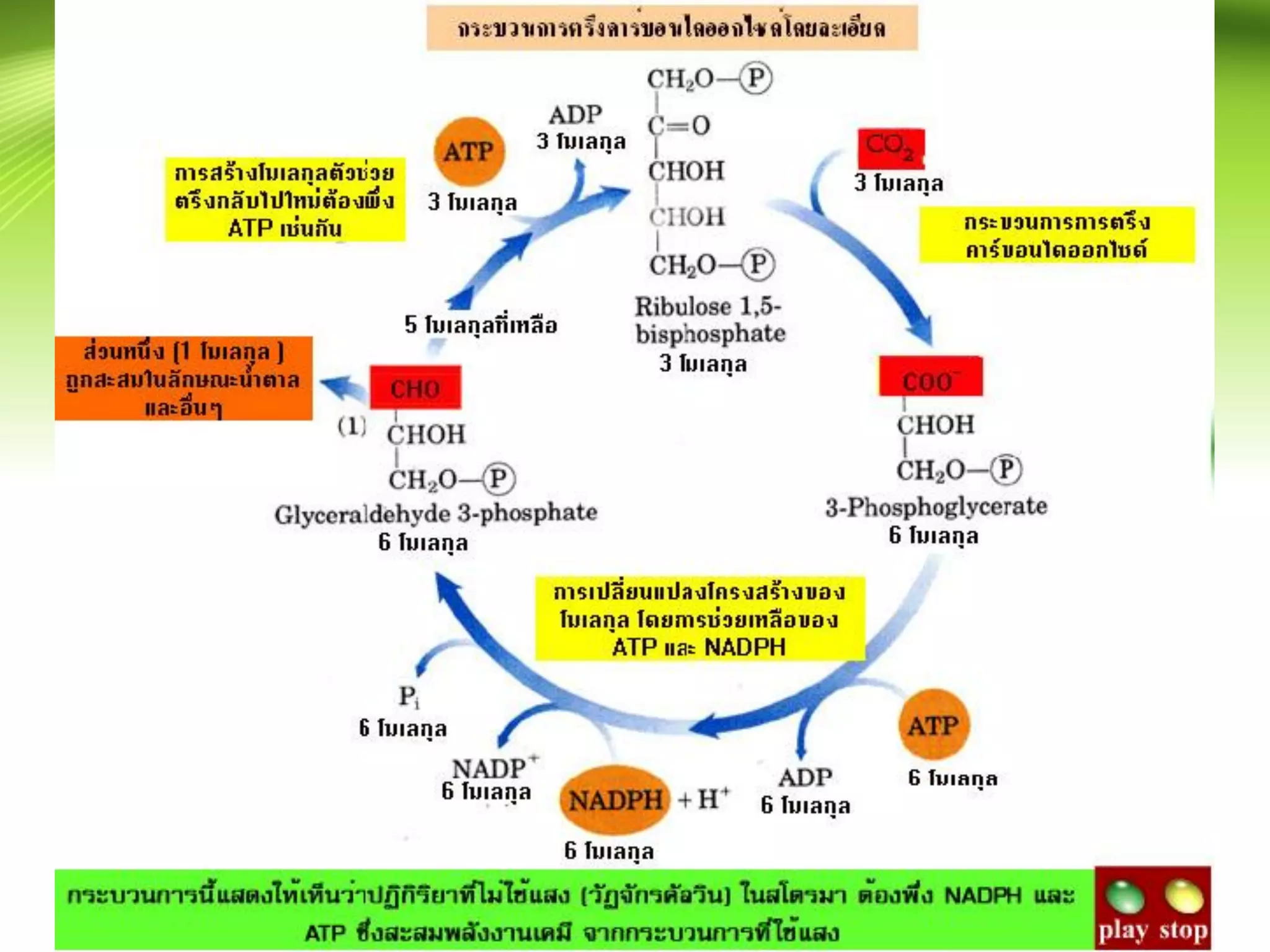 แบ่งได้เป็น 3 ขั้นตอนใหญ่
 