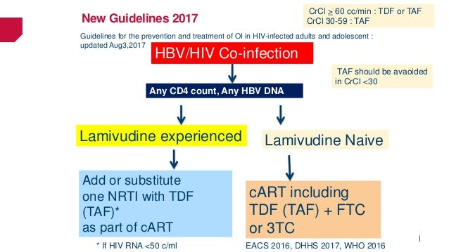 Ss 2017 Treatment Updated On Hepatitis B Or C Co Infection