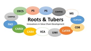 Roots & Tubers
Innovations in Value Chain DevelopmentFAO
CARDI
CABA IICA UWI
CaFAN
CDB
CARPHA
OECS PS
CLAYUCA
MS
CAHFSAPS
 
