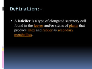 Defination:-
A laticifer is a type of elongated secretory cell
found in the leaves and/or stems of plants that
produce latex and rubber as secondary
metabolites.