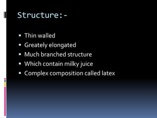 Structure:-
Thin walled
Greately elongated
Much branched structure
Which contain milky juice
Complex composition called latex