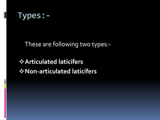 Types:-
These are following two types:-
Articulated laticifers
Non-articulated laticifers