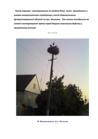 Також тривалі спостереження за гніздом білих лелек проводились в
умовах антропогенного середовища у місті Новомосковськ
Дніпропетровської області на вул. Колхозна. Там лелеки огніздилися на
стовпі електромережі прямо перед двором невеликого будинку у
приватному секторі.
:Фото власне
М. Новомосковськ, вул.. Колхозна
 