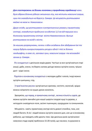 Для спостережень за білими лелеками у природному середовищі нами
була обрана ділянка рідкого змішаного лісу, яка містить невеличкі озерця,
луки та знаходиться на березі р. Самара. Ця місцевість розташована
майже на межі м. Номосковськ.
Друге гніздо, що розташоване в антропогенних умовах у приватному
секторі, знаходиться приблизно на відстані 1,5 км від першого на в.
Колхознау приватному секторі міста Новомосковська. Вулиця
розташована на виїзді з міста.
За нашими розрахунками, лелеки з обох гніздівель для здобування їжі та
нагулу будуть використовувати ресурси однієї і тієї ж ділянки
ландшафту, а саме ліс, заплавні луки, невеличкі озерця та мілководні
заливи р. Самара .
Ліс складається з декількох видів дерев. Частіше за все зустрічаються старі
акації, дуби, клени, по берегу залива деінде можна зустріти осики, трішки
далі – рідкі сосни.
Підлісок в основному складається з молодих дубів і кленів, іноді можна
зустріти шипшину, глід.
З трав'янистих рослин зустрічається кропива, чистотіл, молочай, зрідка
можна натрапити на кущик диких конопель.
Зрозуміло, що поряд, в приватному секторі , велика кількість садків, де
можна зустріти звичайні для нашої широти плодові кущі та дерева, а
неподалік знаходяться поля, засіяні пшеницею, кукурудзою та соняшником.
Місцевість навіть приватному секторі міста доволі спокійна, тиха, але
людей багато. В лісі людей можна зустріти кожного дня, але це в основному
рибалки, що поводять себе досить тихо. Ще декілька разів зустрічалося
невелике стадо корів( приблизно 15-20 голів), що паслися, та рухалися в
 