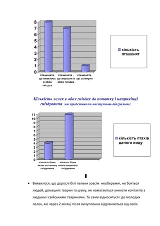 0
1
2
3
4
5
6
7
8
пташенята,
що вивелись
в обох
гніздах
пташенята ,
що виросли в
обох гніздах
пташенята,
що загинули
кількість
пташенят
Кількість лелек в обох гніздах до початку і наприкінці
гніздування ми представили наступною діаграмою:
0
1
2
3
4
5
6
7
8
9
10
11
кількість білих
лелек на початку
гніздування
кількість білих
лелек наприкінці
гніздування
кількість птахів
даного виду
л
• Виявилося, що дорослі білі лелеки зовсім необережні, не бояться
людей, домашніх тварин та шуму, не намагаються уникати контактів з
людьми і свійськими тваринами. Те саме відноситься і до молодих
лелек, які через 2 місяці після вилуплення відрізняються від своїх
 