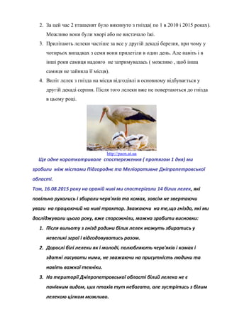 2. За цей час 2 пташенят було викинуто з гнізда( по 1 в 2010 і 2015 роках).
Можливо вони були хворі або не вистачало їжі.
3. Прилітають лелеки частіше за все у другій декаді березня, при чому у
чотирьох випадках з семи вони прилетіли в один день. Але навіть і в
інші роки самиця надовго не затримувалась ( можливо , щоб інша
самиця не зайняла її місця).
4. Виліт лелек з гнізда на місця відгодівлі в основному відбувається у
другій декаді серпня. Після того лелеки вже не повертаються до гнізда
в цьому році.
http://paon.at.ua
Ще одне короткотривале спостереження ( протягом 1 дня) ми
зробили між містами Підгороднє та Меліоративне Дніпропетровської
області.
Там, 16.08.2015 року на ораній ниві ми спостерігали 14 білих лелек, які
повільно рухались і збирали черв'яків та комах, зовсім не звертаючи
уваги на працюючий на ниві трактор. Зважаючи на те,що гнізда, які ми
досліджували цього року, вже спорожніли, можна зробити висновки:
1. Після вильоту з гнізд родини білих лелек можуть збиратись у
невеликі зграї і відгодовуватись разом.
2. Дорослі білі лелеки як і молоді, полюбляють черв'яків і комах і
здатні ласувати ними, не зважаючи на присутність людини та
навіть важкої техніки.
3. На території Дніпропетровської області білий лелека не є
панівним видом, цих птахів тут небагато, але зустрітись з білим
лелекою цілком можливо.
 