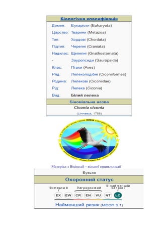 Матеріал з Вікіпедії – вільної енциклопедії
 