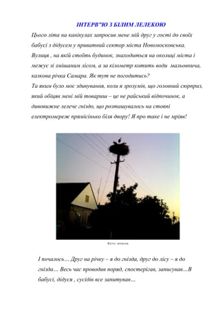 ІНТЕРВ”Ю З БІЛИМ ЛЕЛЕКОЮ
Цього літа на канікулах запросив мене мій друг у гості до своїх
бабусі з дідусем у приватний сектор міста Новомосковська.
Вулиця , на якій стоїть будинок, знаходиться на околиці міста і
межує зі змішаним лісом, а за кілометр котить води мальовнича,
казкова річка Самара. Як тут не погодитись?
Та яким було моє здивування, коли я зрозумів, що головний сюрприз,
який обіцяв мені мій товариш – це не райський відпочинок, а
дивовижне лелече гніздо, що розташувалось на стовпі
електромереж прямісінько біля двору! Я про таке і не мріяв!
:Фото власне
І почалось… Друг на річку – я до гнізда, друг до лісу – я до
гнізда… Весь час проводив поряд, спостерігав, записував…В
бабусі, дідуся , сусідів все запитував…
 