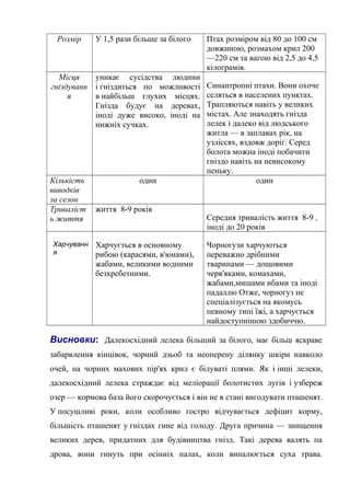 Розмір У 1,5 рази більше за білого Птах розміром від 80 до 100 см
довжиною, розмахом крил 200
—220 см та вагою від 2,5 до 4,5
кілограмів.
Місця
гніздуванн
я
уникає сусідства людини
і гніздиться по можливості
в найбільш глухих місцях.
Гнізда будує на деревах,
іноді дуже високо, іноді на
нижніх сучках.
Синантропні птахи. Вони охоче
селяться в населених пунктах.
Трапляються навіть у великих
містах. Але знаходять гнізда
лелек і далеко від людського
житла — в заплавах рік, на
узліссях, вздовж доріг. Серед
болота можна іноді побачити
гніздо навіть на невисокому
пеньку.
Кількість
виводків
за сезон
один один
Триваліст
ь життя
життя 8-9 років
Середня тривалість життя 8-9 ,
іноді до 20 років
Харчуванн
я
Харчується в основному
рибою (карасями, в'юнами),
жабами, великими водними
безхребетними.
Чорногузи харчуються
переважно дрібними
тваринами — дощовими
черв'яками, комахами,
жабами,мишами ибами та іноді
падаллю Отже, чорногуз не
спеціалізується на якомусь
певному типі їжі, а харчується
найдоступнішою здобиччю.
Висновки: Далекосхідний лелека більший за білого, має більш яскраве
забарвлення кінцівок, чорний дзьоб та неоперену ділянку шкіри навколо
очей, на чорних махових пір'ях крил є білуваті плями. Як і інші лелеки,
далекосхідний лелека страждає від меліорації болотистих лугів і узбереж
озер — кормова база його скорочується і він не в стані вигодувати пташенят.
У посушливі роки, коли особливо гостро відчувається дефіцит корму,
більшість пташенят у гніздах гине від голоду. Друга причина — знищення
великих дерев, придатних для будівництва гнізд. Такі дерева валять па
дрова, вони гинуть при осінніх палах, коли випалюється суха трава.
 