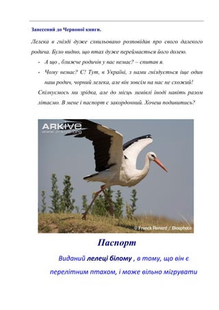 Занесений до Червоної книги.
Лелека в гнізді дуже схвильовано розповідав про свого далекого
родича. Було видно, що птах дуже переймається його долею.
- А що , ближче родичів у вас немає? – спитав я.
- Чому немає? Є! Тут, в Україні, з нами гніздується іще один
наш родич, чорний лелека, але він зовсім на нас не схожий!
Спілкуємось ми зрідка, але до місць зимівлі іноді навіть разом
літаємо. В мене і паспорт є закордонний. Хочеш подивитись?
Паспорт
Виданий лелеці білому , в тому, що він є
перелітним птахом, і може вільно мігрувати
 