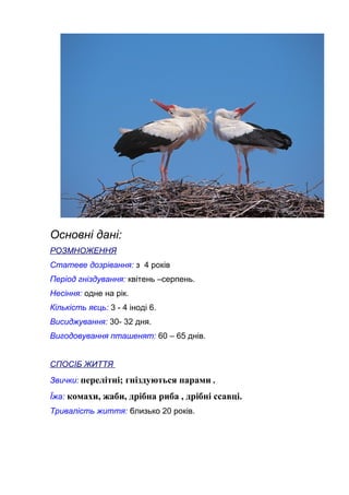 Основні дані:
РОЗМНОЖЕННЯ
Статеве дозрівання: з 4 років
Період гніздування: квітень –серпень.
Несіння: одне на рік.
Кількість яєць: 3 - 4 іноді 6.
Висиджування: 30- 32 дня.
Вигодовування пташенят: 60 – 65 днів.
СПОСІБ ЖИТТЯ
Звички: перелітні; гніздуються парами .
Їжа: комахи, жаби, дрібна риба , дрібні ссавці.
Тривалість життя: близько 20 років.
 