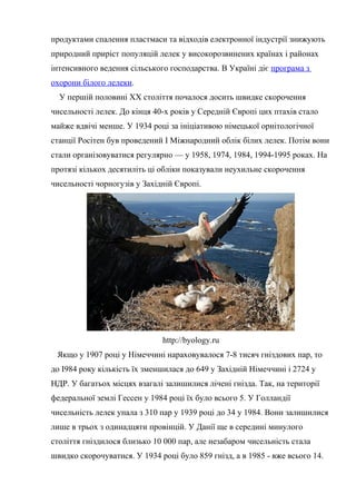 продуктами спалення пластмаси та відходів електронної індустрії знижують
природний приріст популяцій лелек у високорозвинених країнах і районах
інтенсивного ведення сільського господарства. В Україні діє програма з
охорони білого лелеки.
У першій половині XX століття почалося досить швидке скорочення
чисельності лелек. До кінця 40-х років у Середній Європі цих птахів стало
майже вдвічі менше. У 1934 році за ініціативою німецької орнітологічної
станції Росітен був проведений І Міжнародний облік білих лелек. Потім вони
стали організовуватися регулярно — у 1958, 1974, 1984, 1994-1995 роках. На
протязі кількох десятиліть ці обліки показували неухильне скорочення
чисельності чорногузів у Західній Європі.
http://byology.ru
Якщо у 1907 році у Німеччині нараховувалося 7-8 тисяч гніздових пар, то
до І984 року кількість їх зменшилася до 649 у Західній Німеччині і 2724 у
НДР. У багатьох місцях взагалі залишилися лічені гнізда. Так, на території
федеральної землі Гессен у 1984 році їх було всього 5. У Голландії
чисельність лелек упала з 310 пар у 1939 році до 34 у 1984. Вони залишилися
лише в трьох з одинадцяти провінцій. У Данії ще в середині минулого
століття гніздилося близько 10 000 пар, але незабаром чисельність стала
швидко скорочуватися. У 1934 році було 859 гнізд, а в 1985 - вже всього 14.
 