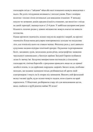 господарів гнізда з "зайдами" яйця або малі пташенята можуть викидатися з
нього. На успіх гніздування впливають і погодні умови. Роки з помірно
вологим і теплим літом оптимальні для виведення пташенят. У випадку
посухи чи затяжних дощів середня кількість пташенят, що вилетіли з гнізда
на даній території, зменшується в 1,5-4 рази. У найбільш несприятливі роки
більшість лелечих родин у деяких місцевостях можуть взагалі не вивести
потомства.
Однак протягом тисячоліть лелеки гинули від ворогів і хвороб, на протязі
тисячоліть більш-менш регулярно повторювалось холодне чи посушливе
літо, але птахів від цього не ставало менше. Фатальну роль у долі давнього
супутника людини відіграв технічний прогрес. Осушення та розорювання
боліт, заплавних луків, затоплення долин річок, катастрофічне зниження
чисельності земноводних у багатьох країнах Західної Європи позбавили
лелек їх звичну їжі. Бездумне використання пестицидів у сільському
гоcподарстві, хімічна боротьба з гризунами приводить якщо не до прямої
загибелі птахів, то до серйозних порушень здоров'я. Багато лелек, особливо
молодих, що недавно залишили гніздо, розбиваються об дроти ліній
електромереж і гинуть на їх опорах від замикання. Вносять свій фатальний
вклад і великі труби, куди лелеки можуть падати, коли сідають на край
перепочити. У Німеччині, розбираючи стару піч для випалювання цегли,
якось знайшли в трубі рештки майже 50 лелек!
 