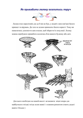 Як привабити лелеку оселитись поруч
Лелека птах перелітний, але де б він не був, у людей з ним пов'зані багато
прикмет та вірувань. До того ж лелеки приносять багато користі. Тому ми
намагаємось допомогти цим птахам, щоб зберегти їх популяції. Лелеку
можна спробувати привабити оселитись біля вашого будинку або дачі.
Для цього необхідно на певній висоті встановити міцні опори для
майбутнього гнізда( гнізда лелек важкі і з кожним ремонтом стають дедалі
важче і більше )
 