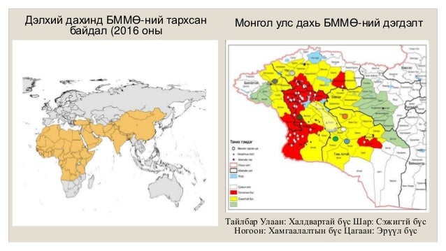 лекц 12. үхэр, гахай, бог малын мялзан, нохойн гударга