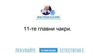 11-те главни чакри.
 