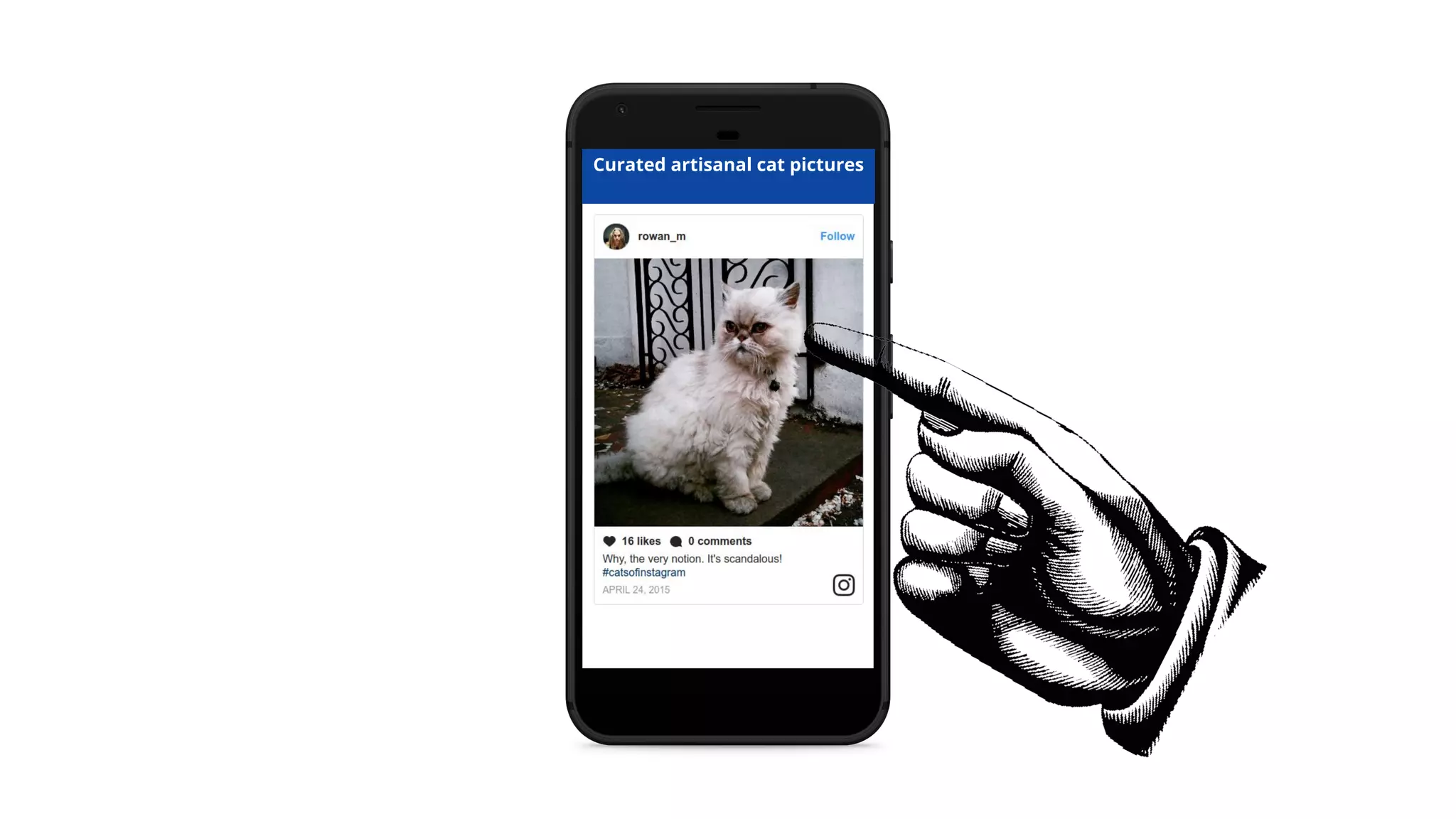 Curated artisanal cat pictures
 