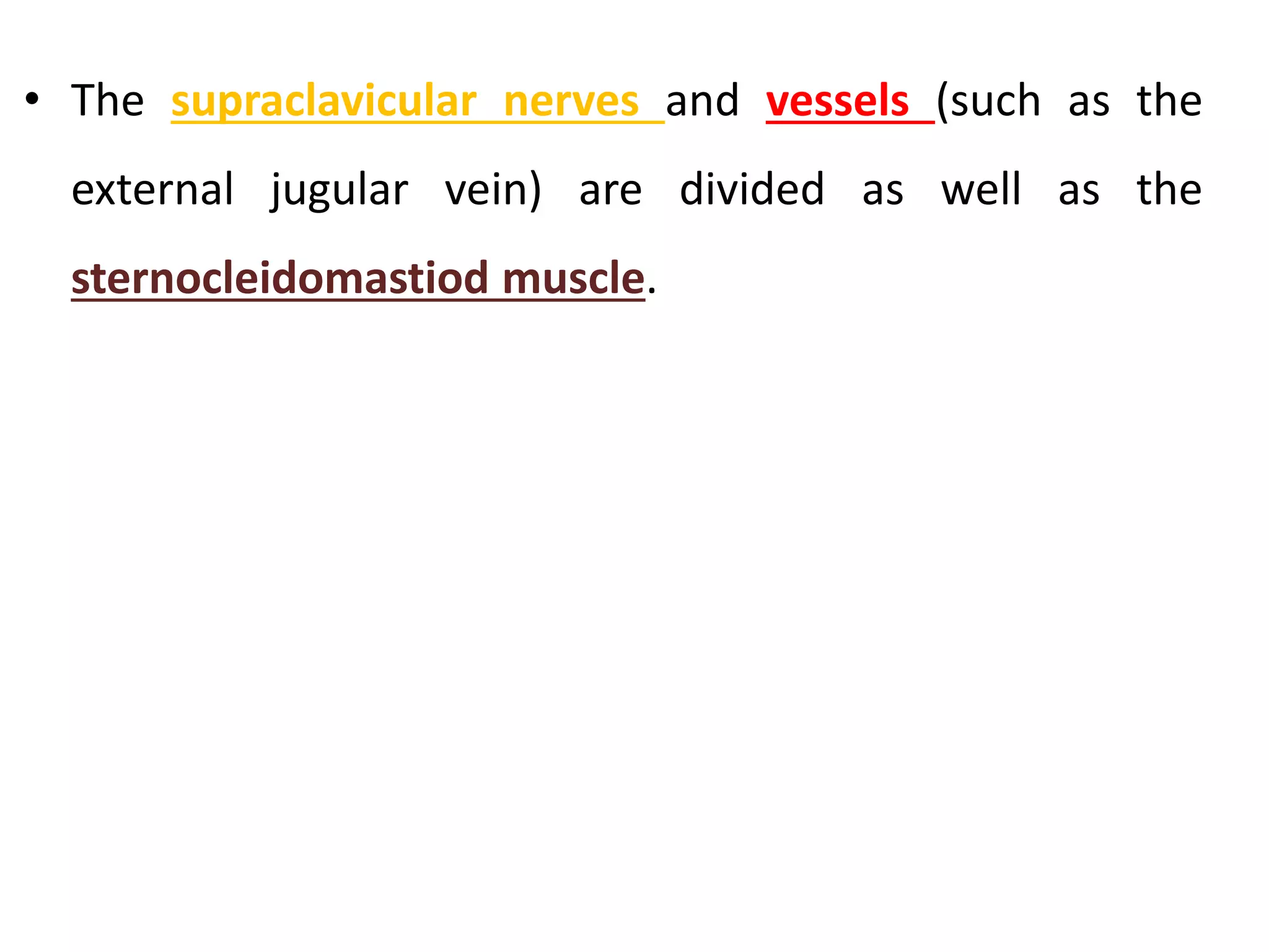 • The supraclavicular nerves and vessels (such as the
external jugular vein) are divided as well as the
sternocleidomastiod muscle.
 