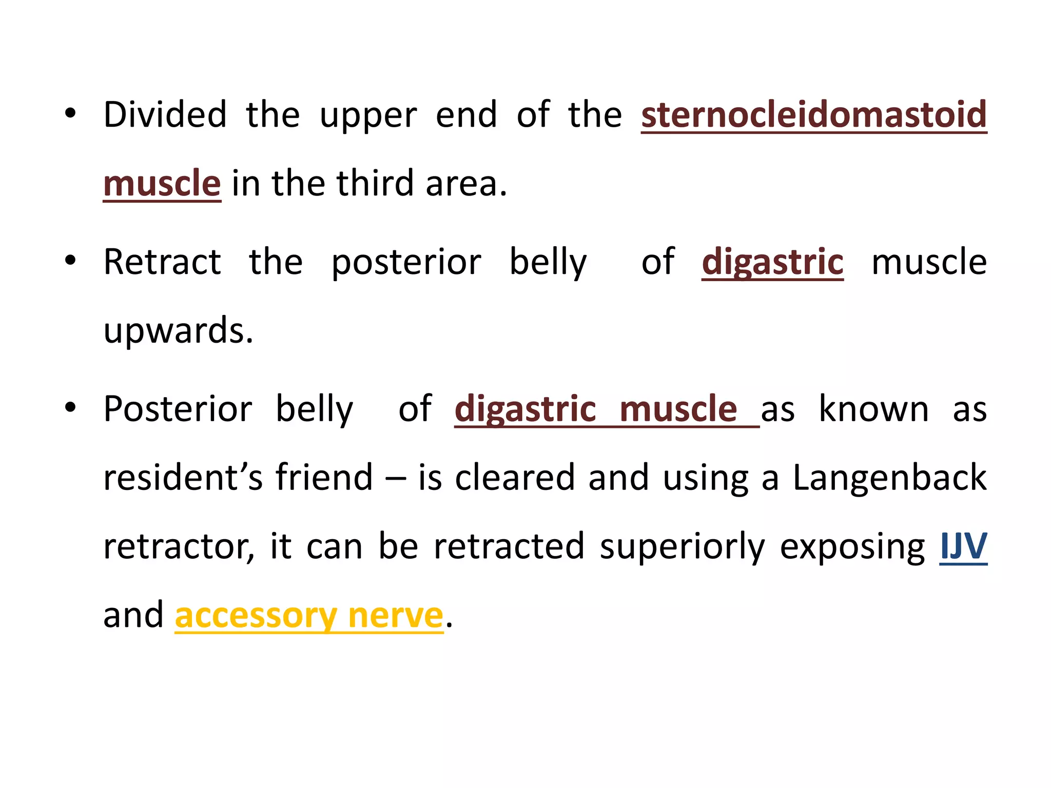 • Divided the upper end of the sternocleidomastoid
muscle in the third area.
• Retract the posterior belly of digastric muscle
upwards.
• Posterior belly of digastric muscle as known as
resident’s friend – is cleared and using a Langenback
retractor, it can be retracted superiorly exposing IJV
and accessory nerve.
 