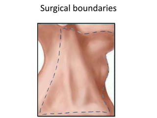 Surgical boundaries
 