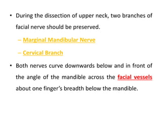 • During the dissection of upper neck, two branches of
facial nerve should be preserved.
– Marginal Mandibular Nerve
– Cervical Branch
• Both nerves curve downwards below and in front of
the angle of the mandible across the facial vessels
about one finger’s breadth below the mandible.
 