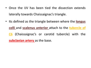 • Once the IJV has been tied the dissection extends
laterally towards Chaissaignac’s triangle.
• Its defined as the triangle between where the longus
colli and scalenus anterior attach to the tubercle of
C6 (Chaissaignac’s or carotid tubercle) with the
subclavian artery as the base.
 