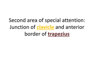 Second area of special attention:
Junction of clavicle and anterior
border of trapezius
 
